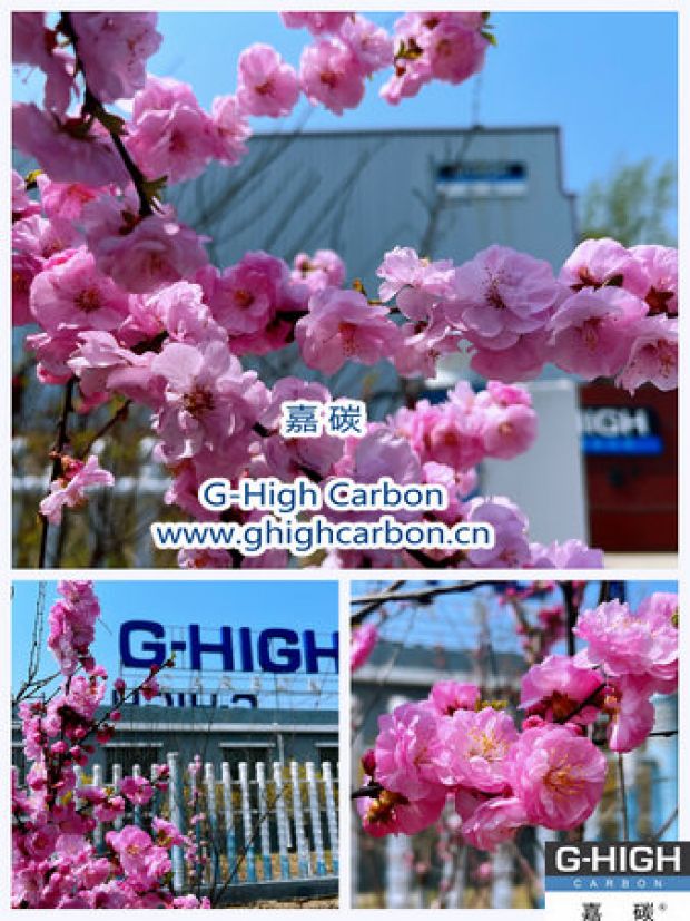 環(huán)保嘉碳，春花爛漫