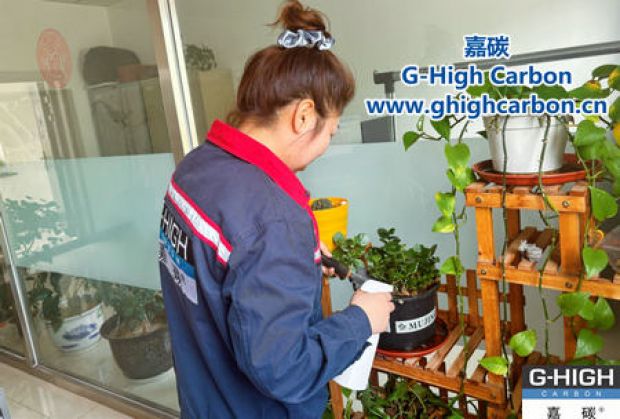 午休時光種花忙，美化辦公環(huán)境添綠意
